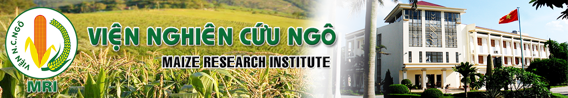 Maize Research Insitute of Vietnam