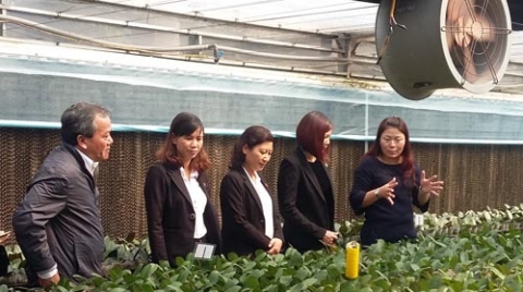 Cần tiếp tục rà soát, hoàn thiện quy hoạch nông nghiệp công nghệ cao theo hướng mở.