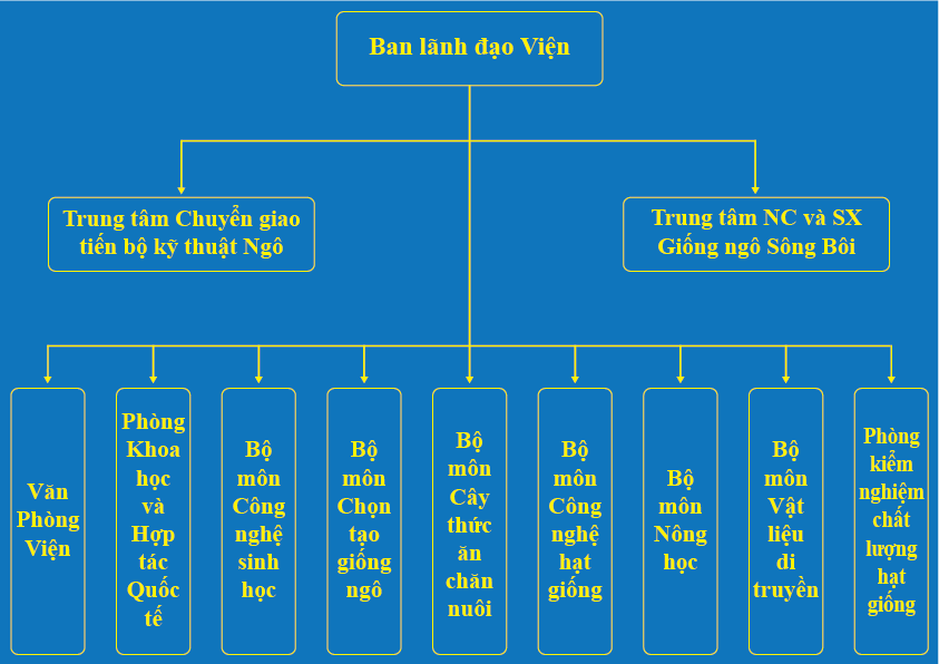 Cơ cấu tổ chức