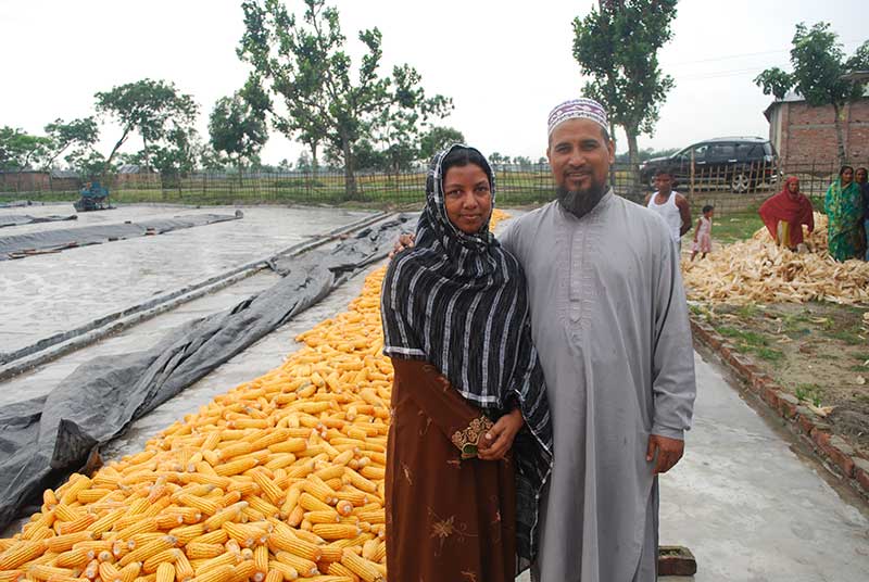 Community loans and training allow Bangladesh farmers to grow maize