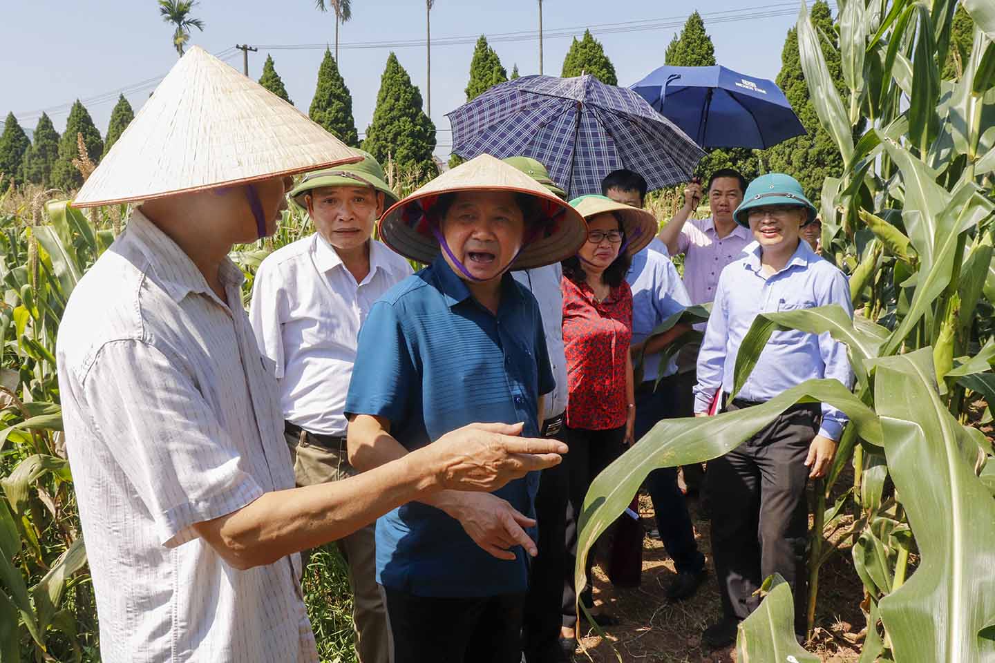 Viện Nghiên cứu Ngô tiếp đón Thứ trưởng Bộ Nông nghiệp và Phát triển Nông thôn Lê Quốc Doanh